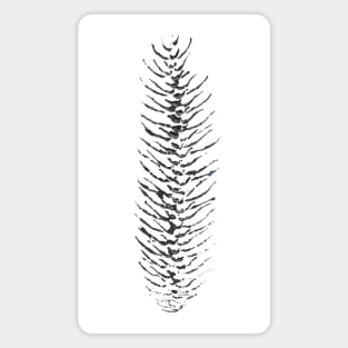 Pinecone Section Magnet